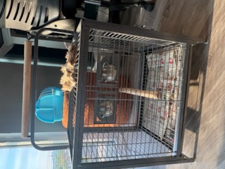 Baby and Casper photo 1